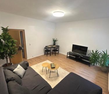 Aue Apartment | Ferienwohnung Haus Paraschiv
