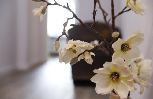 Kurort Gohrisch Apartment | Ferienwohnung Julia