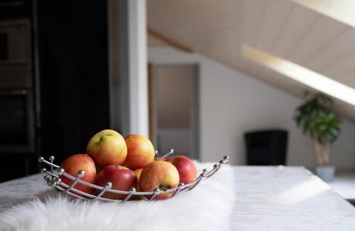 Osburg Apartment | Ferienwohnung Krist