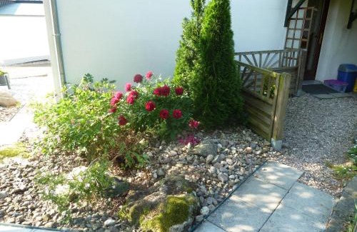 Elmenthal Apartment | Ferienwohnung Lotti