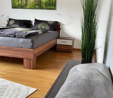 Steinbach Apartment | Ferienwohnung Reblandblick