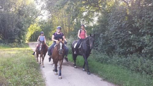 Selk Apartment | Ferienwohnung Reitanlage Bärenz