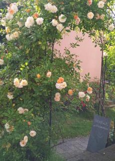 Sankt Wendel Apartment | Ferienwohnung Sommer