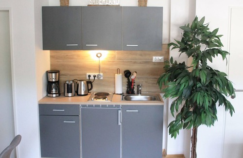 Stryck Apartment | Ferienwohnung Sonnenblick Willingen