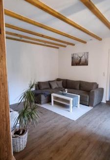 Schollbrunn Apartment | Ferienwohnung Spessartbude