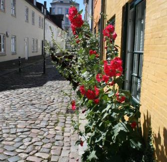 Flensburg Apartment | Ferienwohnung Stadtgrün