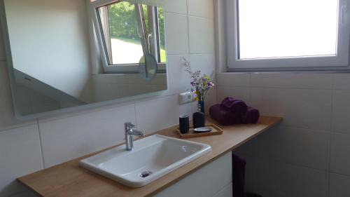 Mattsee Apartment | Ferienwohnung Steger