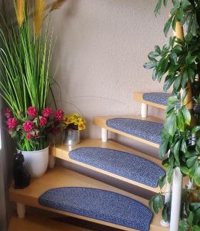 Immenrode House | Ferienwohnung Vier Sterne