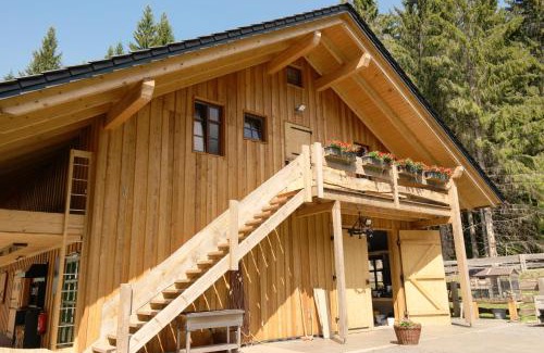 Masserberg Apartment | Ferienwohnung Werraquell Hütte