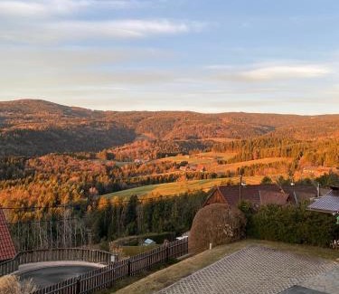 Sankt Stefan ob Stainz Apartment | Ferienwohnung Zapfl Maria