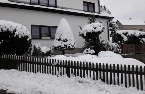 Zschorlau Apartment | Ferienwohnung Zschorlau/Erzgebirge 03771 479123