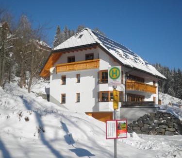 Hinterzarten Apartment | Ferienwohnungen DaHeim Titisee