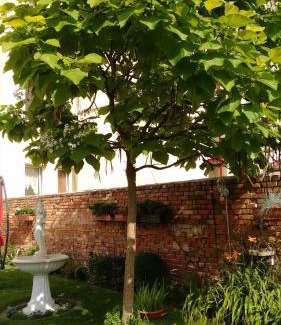 Stendal Apartment | Ferienwohnungen Haus Leonore