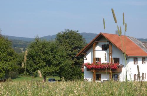 Tiefenbach Apartment | Ferienwohnungen Reitinger
