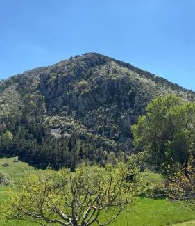 La Roque-Esclapon House | Ferme de Sejour Rebuffel