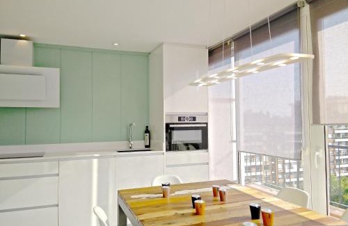 Sarria-Sant Gervasi Apartment | Ferran Pedralbes Penthouse