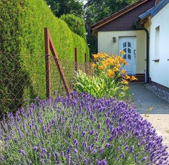 Borrentin Apartment | FeWo Albrecht in Metschow