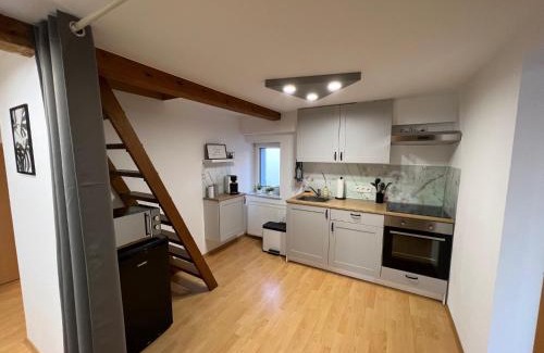 Zweibruecken Apartment | FeWo Bieler mit Gartenblick