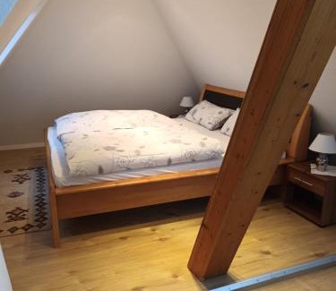 Erlangen Apartment | FEWO Mirijam