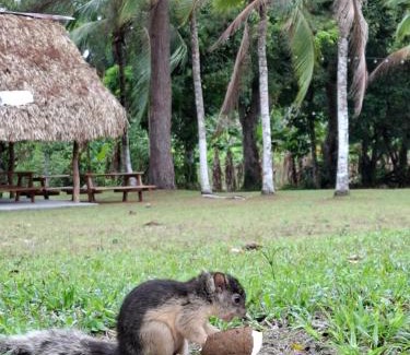 Playa Blanca House | Finca Agroturística La Amistad
