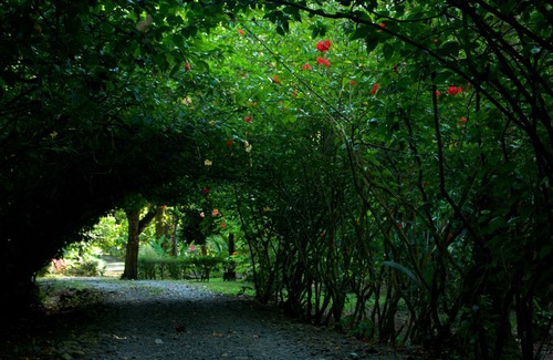 Carate Cabin | Finca la Bonita, Near Corcovado National Park.