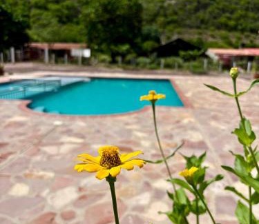 Santander Hotel | Finca la playita