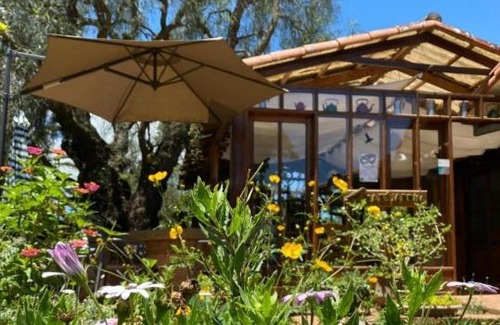 Samaipata Cabin | Finca La Vispera