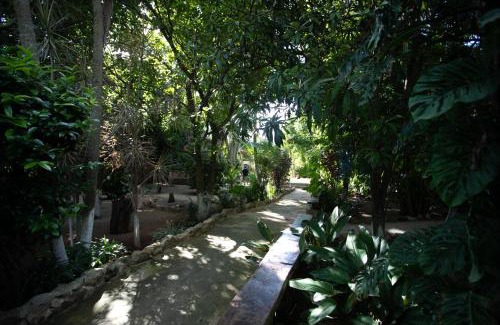 Homun House | Finca Oz