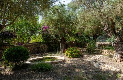 Manacor Villa | Finca Son Moix