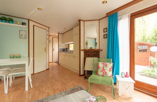 Bosgebied Hoenderloo Ski Chalet | Fine cottage 41 + garden on beautiful child-friendly park in nature