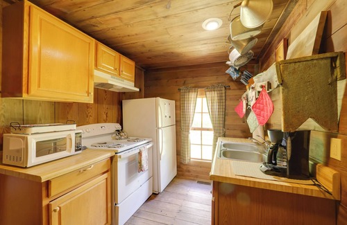Vein Mountain Cabin | Fire Pit & Hot Tub: Dog-Friendly Marion Retreat