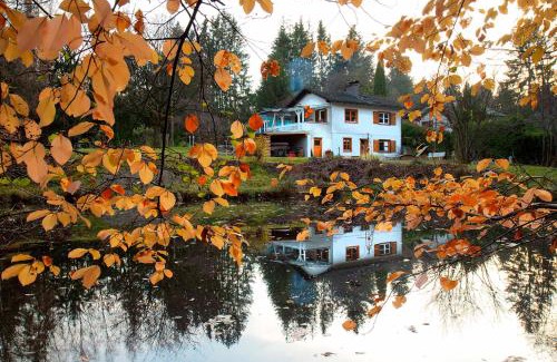 Burgthann House | Fischerhaus