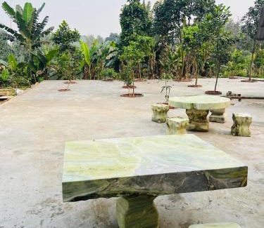 Tran Yen House | Fish Farm Homestay 1