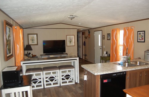 Edgar House | Fish from own dock or in Palatka, Visit Ocala National Forest, FU Gators 30+ min