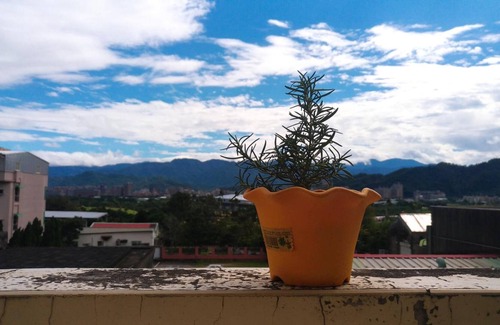 Yingge District House | Fish hostel
