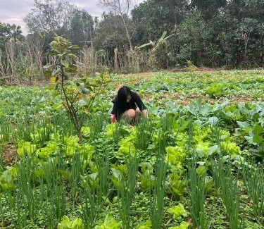 Tran Yen House | Fishing Farm Homestay