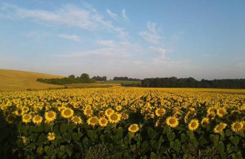 Agudelle House | Fleur Du Soleil