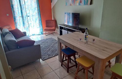 Grand-Bourg Apartment | Fleurs d'hibiscus