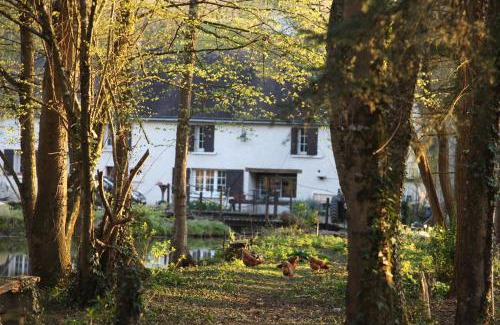 Neuille-le-Lierre Apartment | Fleurs de Brenne Gite