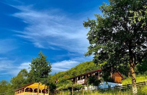 Sugau Cabin | Floare de Maramures 2