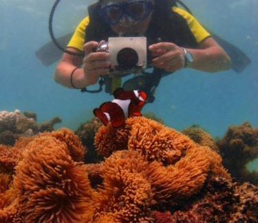 Pulau Perhentian Besar Resort | Flora Bay 2