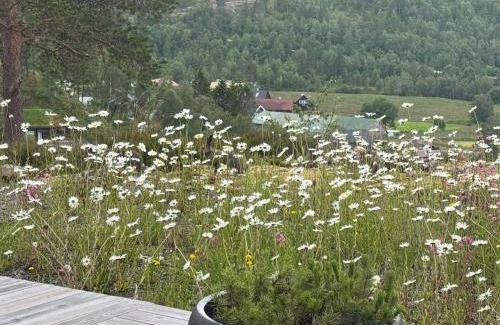 Fidjeland House | Flott nyere hytte i Sirdal med fantastisk utsikt og solforhold