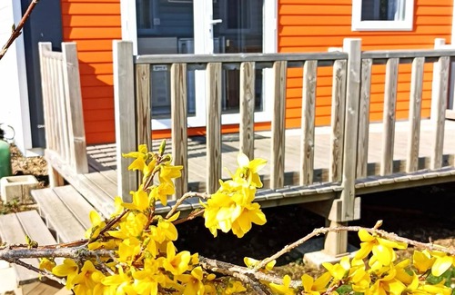 Saint-Aubin-sur-Scie House | Flower Camping Vitamin * - Mobile home Standard 18m2 (1 bedroom) + TV + Terrace 2 persons