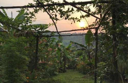 Kitojo House | Flower Hill Garden Retreat