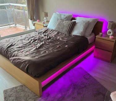 Toulouse South-East Apartment | Flower spa - Jacuzzi intérieur - T2