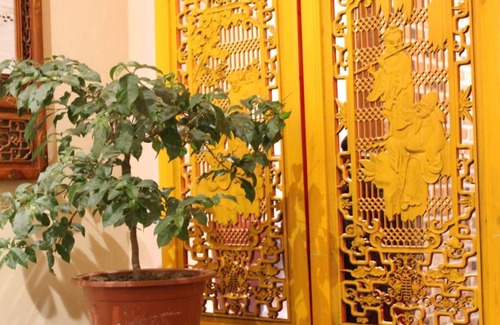 Huairou House | Flower Yard