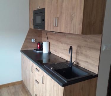 Raba Wyzna Apartment | Folwark Bielanka