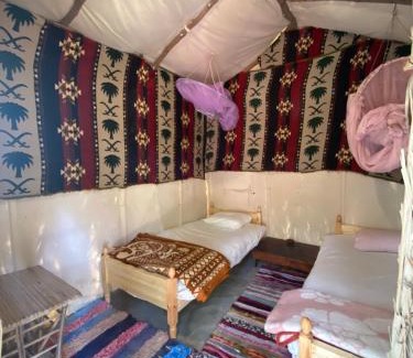 Siwa Other | Forest Camp Siwa - كامب الغابة