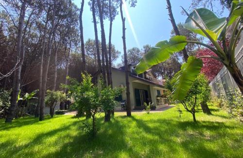 Golem Villa | Forest Cottage - middle of forest & near the beach