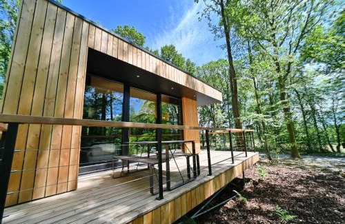 Grandham House | Forest Cube